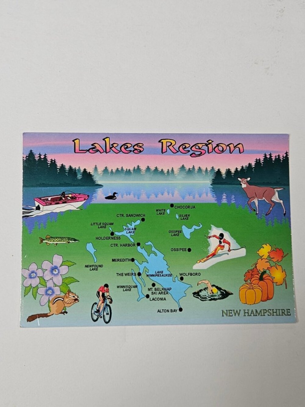 Greetings from New Hampshire Lakes Region Postcard